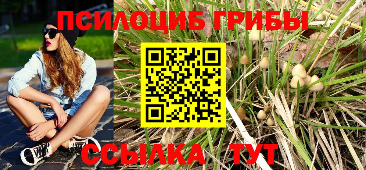 Саки  Галлюциногенные грибы GOLDEN TEACHER  Вход с VPN 