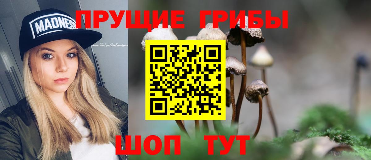 Галлюциногенные грибы MAGIC MUSHROOMS Саки